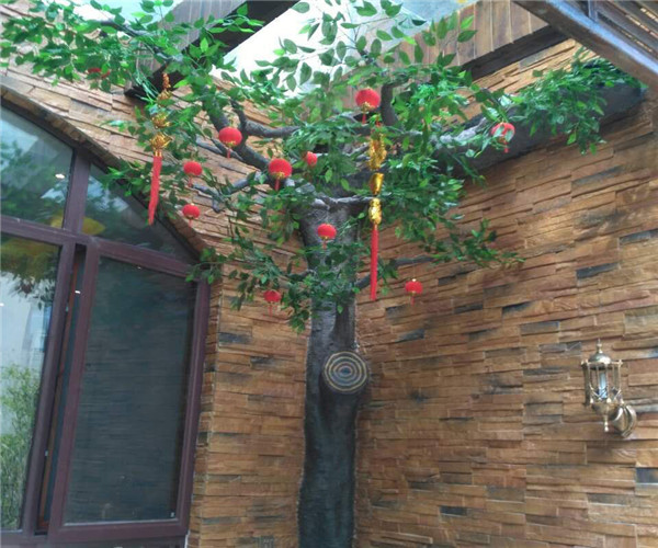經典案例